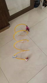 Iara Pires review photo