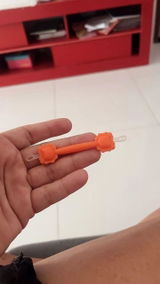 Camila Alvim review photo