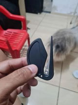Priscila Sales review photo