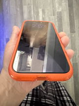 Wilfredo R. review photo