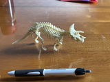 C. review photo