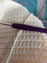 Beauty Brahma review photo
