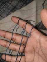 V.P. review photo