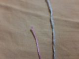 X review photo