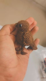 Ngnungshitombi review photo