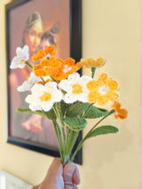 Brijpal Sharma review photo