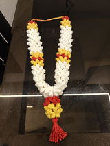 Sita Ravi review photo