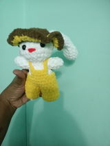 Rohini review photo