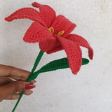 Jeslin Fernandes review photo