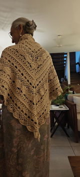 Harveen Singh review photo