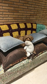 Anonymous review photo
