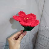 Inshirah Chaudhary review photo