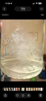 Sporewhore review photo