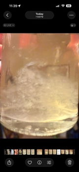 Sporewhore review photo