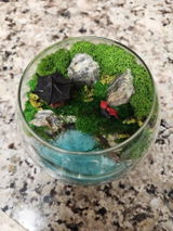 Etsy customer review photo
