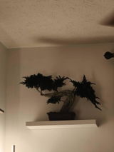 Etsy customer review photo