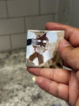 Gabriela review photo