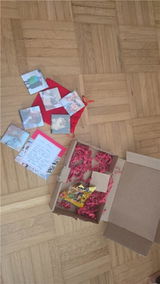 Rosi Krohn review photo