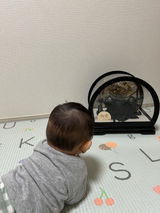 まんまるおつきさま review photo