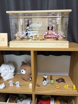 泉眞美 review photo