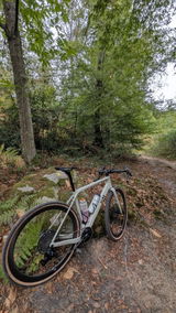 Mai Versa CGP Carbon Rahmenset Gravel