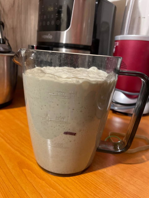 Maia Fermentata