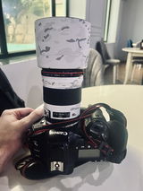 Dmytro Lukianenko review photo