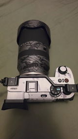 GL review photo