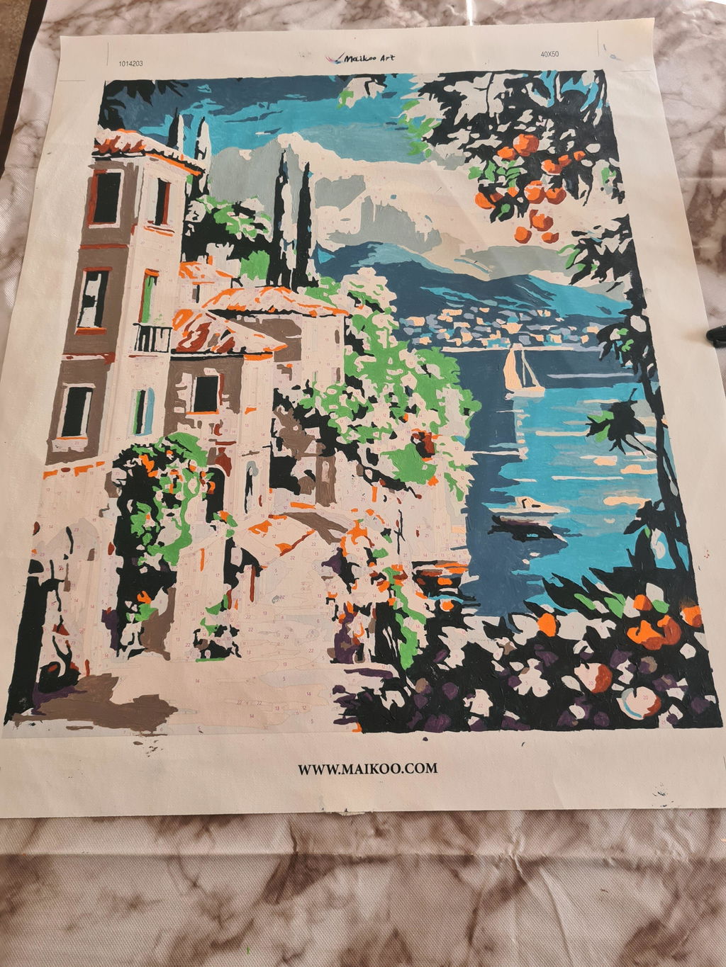 Morning Light in a Quiet Harbor - Paint by Numbers Kit