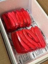 Robert G. review photo