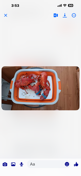 Lynda L. review photo