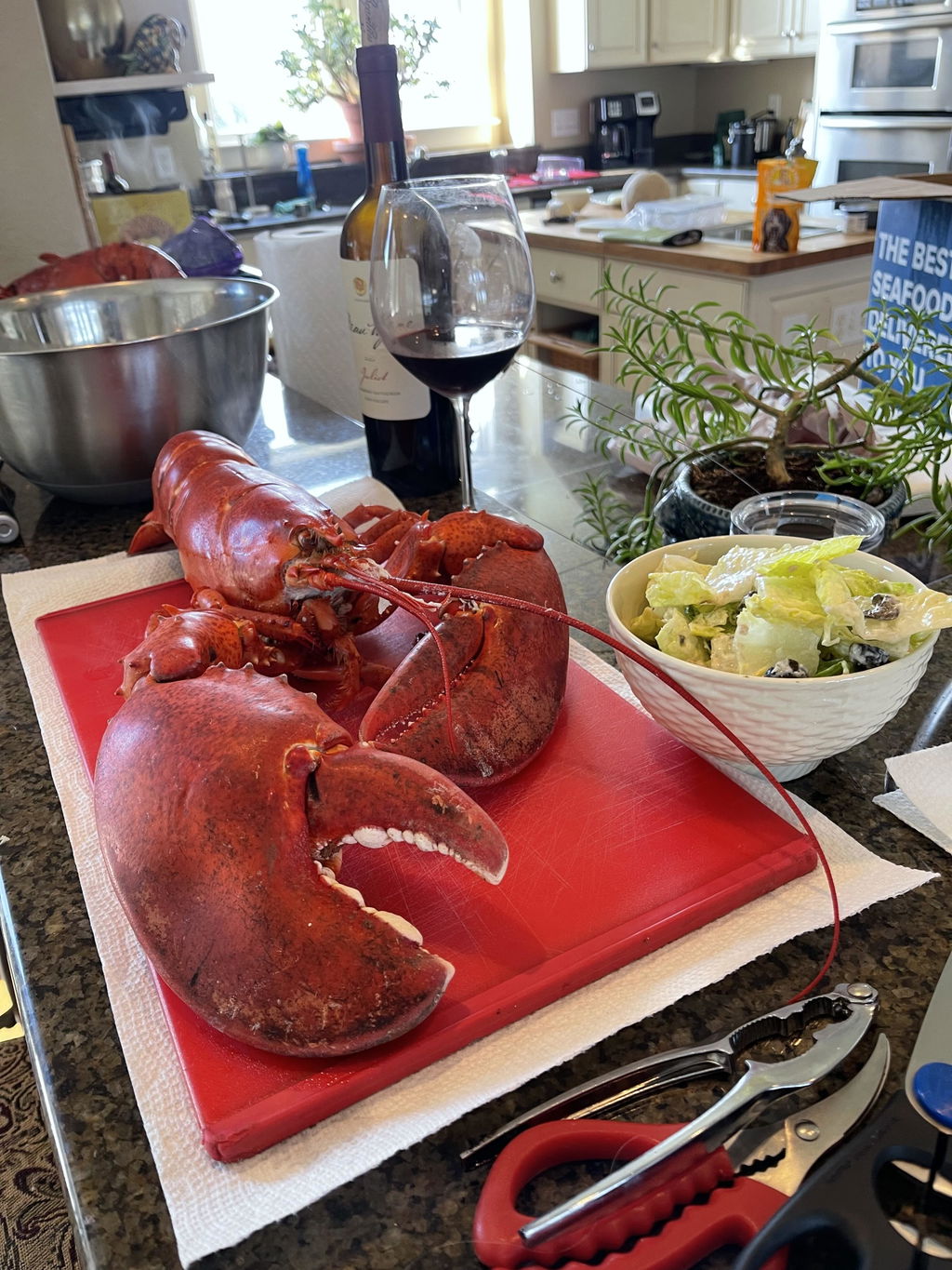3 lb Live Maine Lobster