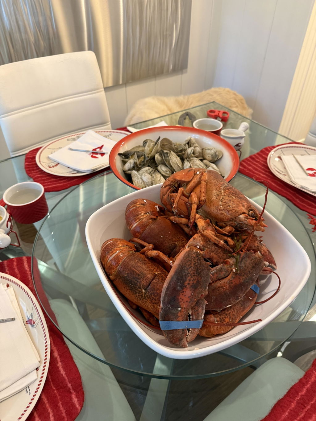 2 lb Live Maine Lobster