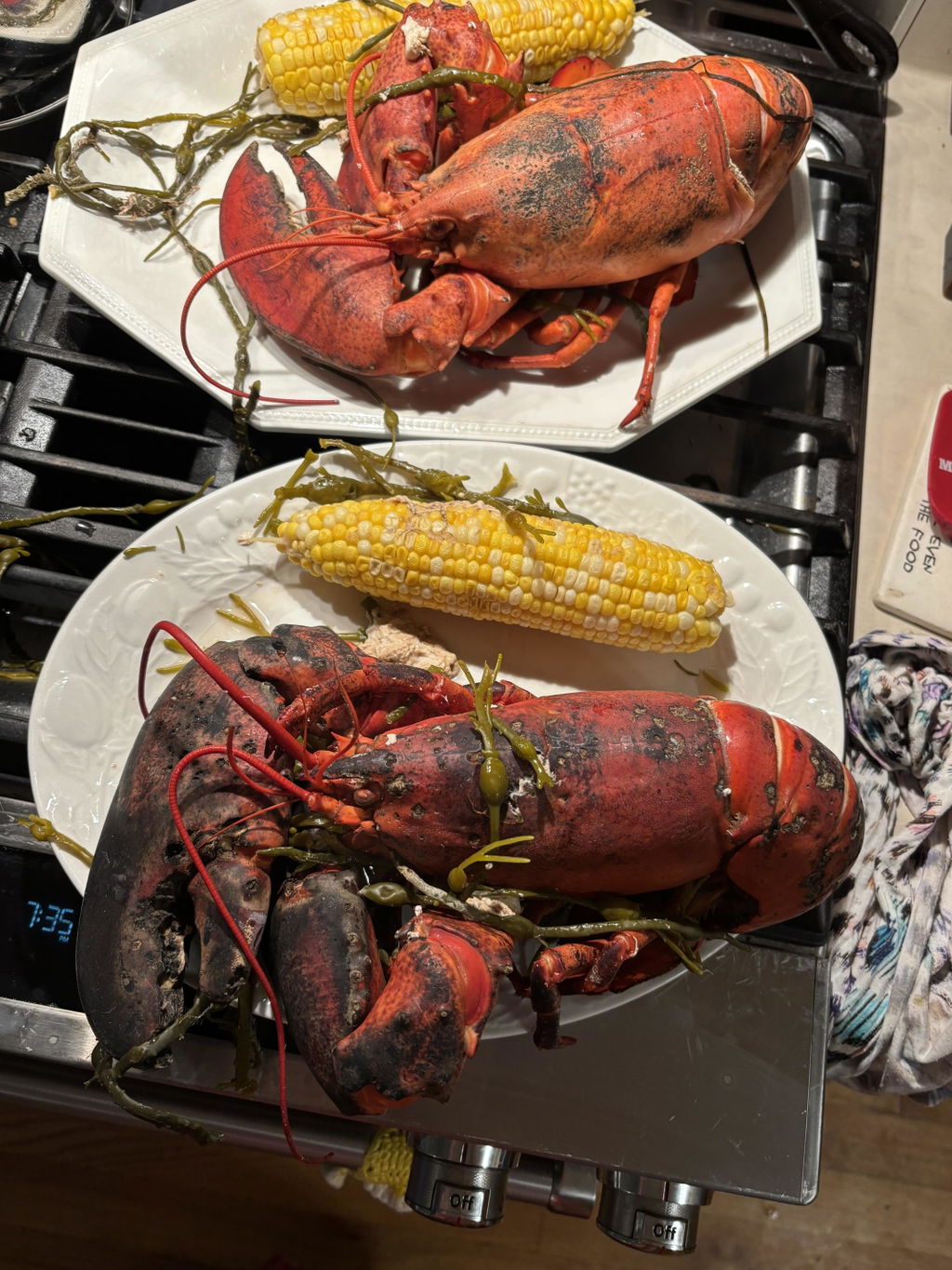 2.5 lb Live Maine Lobster