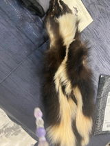 catt review photo
