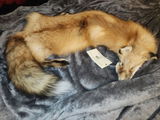 Mavery review photo