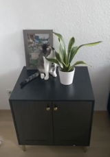 Florian S. review photo