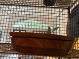 Maria Jose Martinez review photo