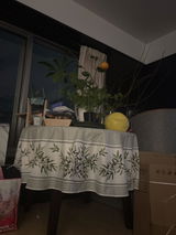 知子 小川 review photo