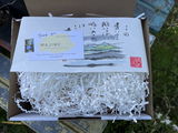 Iain W. review photo