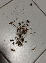 نورة محمد review photo