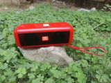 Mintu Ray review photo