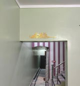Ashraf Ansari review photo