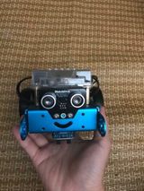 Tracy Sally review photo