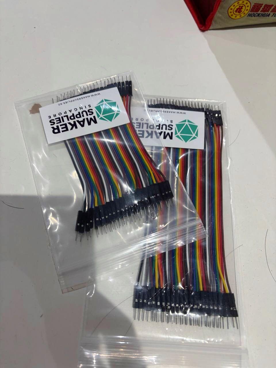 penguinintheeast review photo