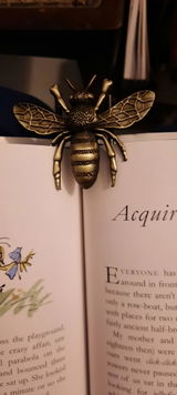 A.B. review photo