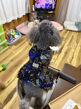 杉村健蔵 review photo