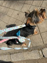 Montse review photo