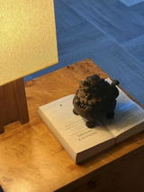 Lisa White review photo
