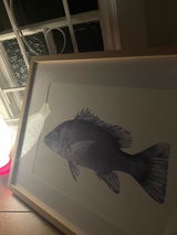 Angus H. review photo
